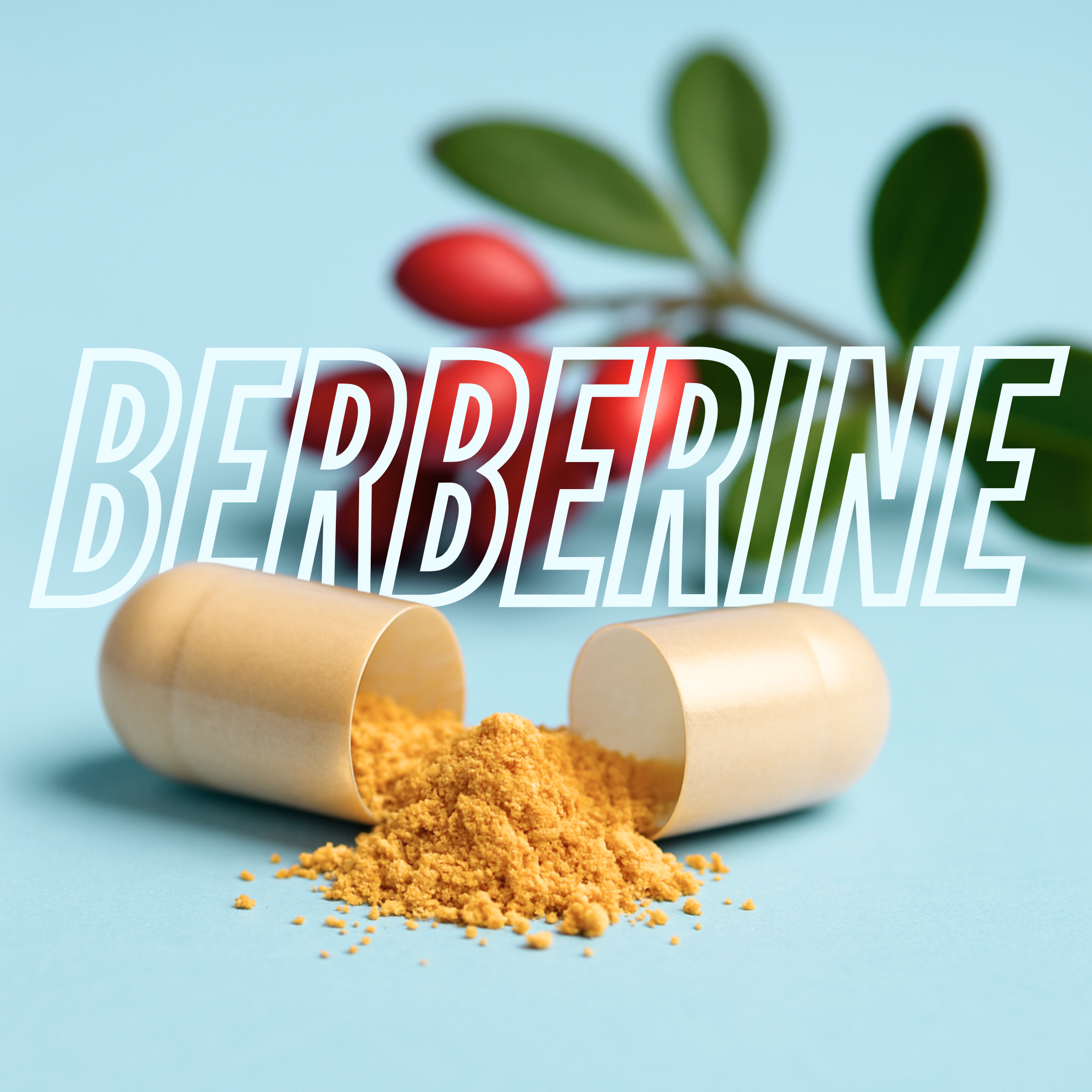 Metabolic Balance for the Menopausal Transition